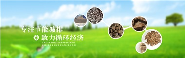 倪維斗院士：通過(guò)技術(shù)創(chuàng)新，大力發(fā)展超級(jí)能源生物質(zhì)燃料